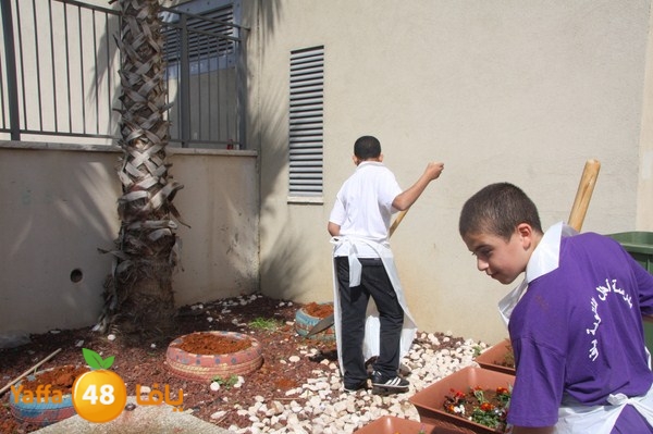 ajyalnewa3malteyeba88 (4).jpg